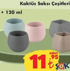 KAKTÜS SAKSI ÇEŞİTLERİ 120 ML KAKTÜS SAKSI ÇEŞİTLERİ 120 ML